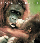 OrangUtan Odyssey