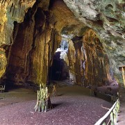 Gomantong cave