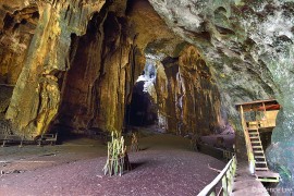 Gomantong cave