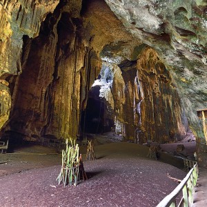 Gomantong cave