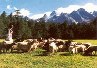 Silk Road Discovery, China