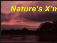 Klias River's Nature's X'mas Lights "The Fireflies" and Proboscis Monkey Tour, Sabah, Malaysia Borneo