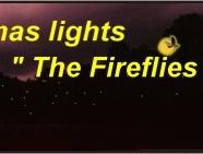 Klias River's Nature's X'mas Lights "The Fireflies" and Proboscis Monkey Tour, Sabah, Malaysia Borneo