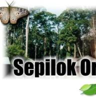 Sepilok Orang Utan Wildlife and Sandakan City Tour, Sandakan, Sabah, Malaysia Borneo